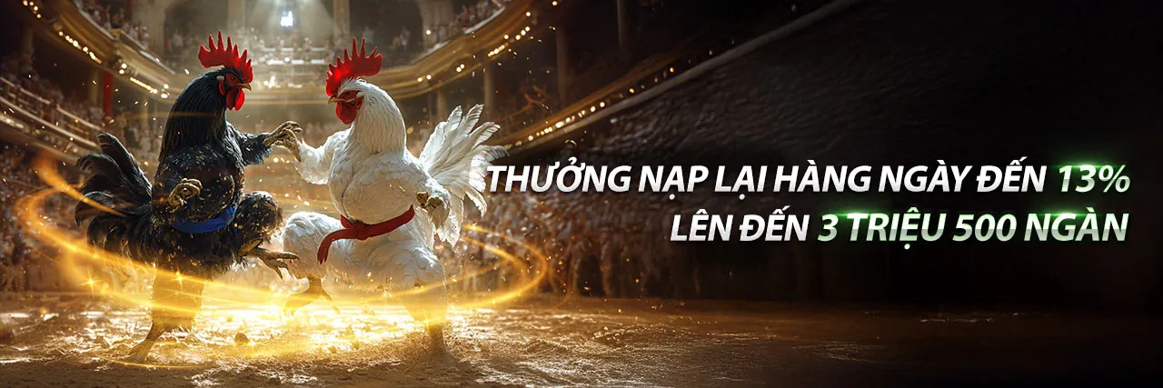 Đá gà trực tiếp 6 3 2023